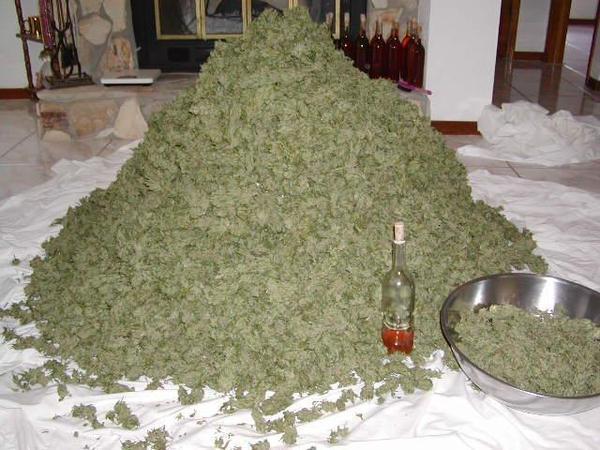 alot of weed. Bud smokers only