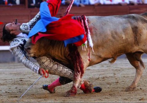bullfighter550