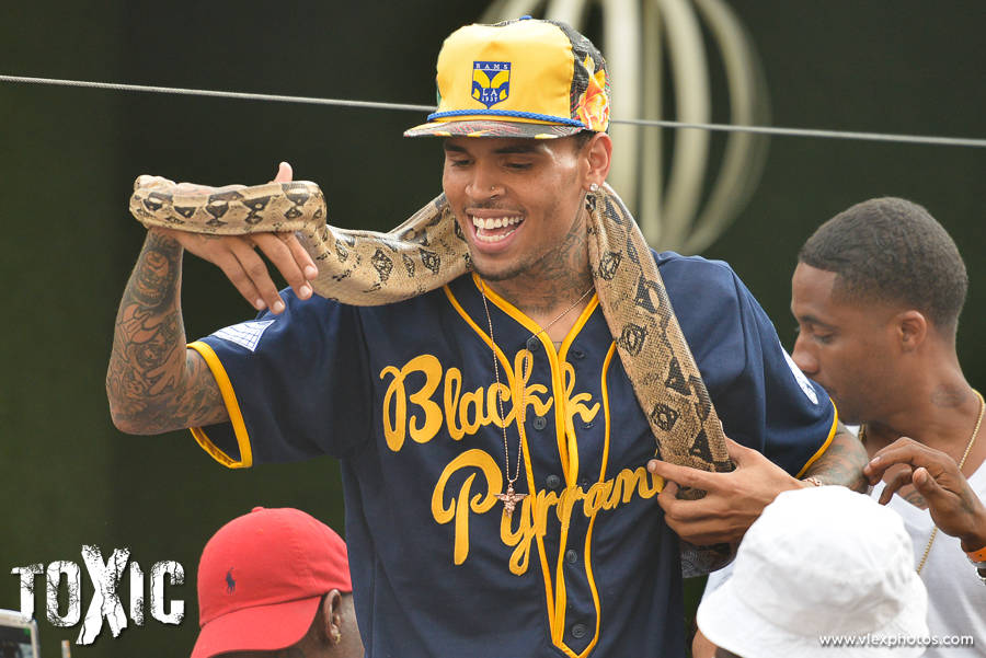 Chris-Brown-Partys-with-snakes-freddy-o