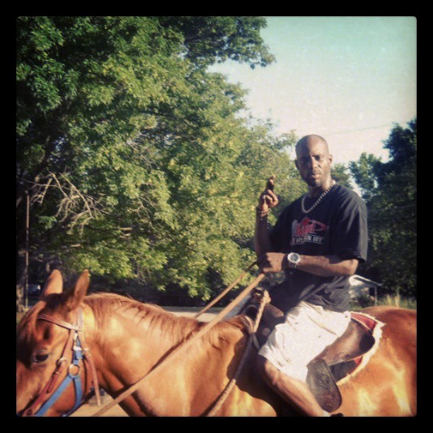 dmx-horse-riding-instagram