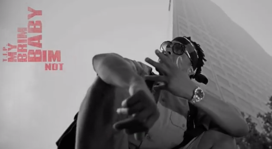 [Music Video] TI and Lil Jon:  F#%k Em